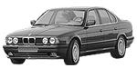 BMW E34 P1469 Fault Code